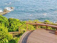 心ぶらり旅 屋久島